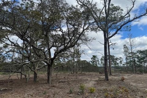 Terreno en venta en Morriston, Florida № 1521259 - foto 7