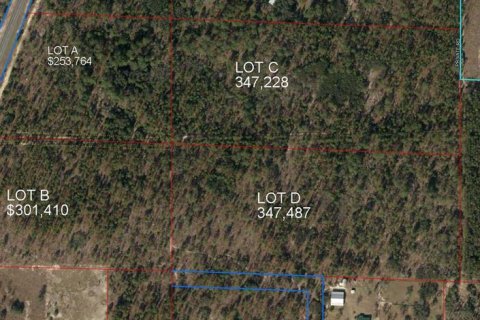 Terreno en venta en Morriston, Florida № 1521259 - foto 10