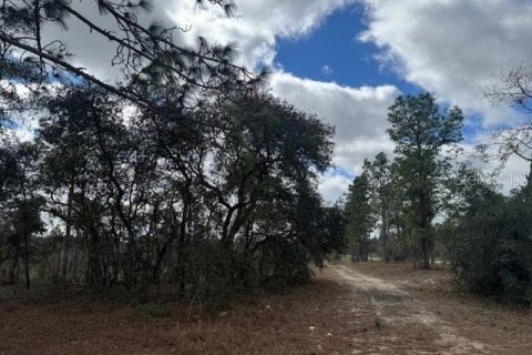Terreno en venta en Morriston, Florida № 1521259 - foto 1