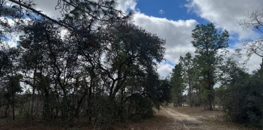 Land in Morriston, Florida № 1521259