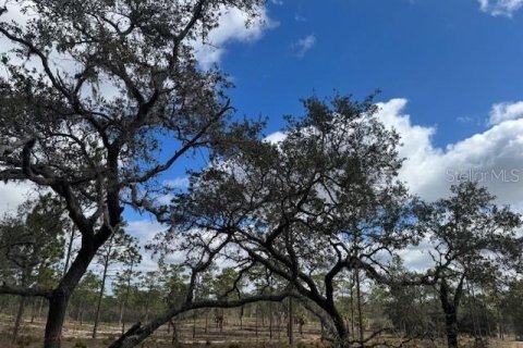 Terreno en venta en Morriston, Florida № 1521259 - foto 2