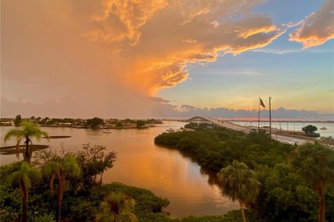 Condo in Belleair Bluffs, Florida, 1 bedroom  № 1780476 - photo 13