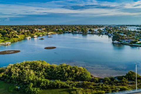 Condo in Belleair Bluffs, Florida, 1 bedroom  № 1780476 - photo 28