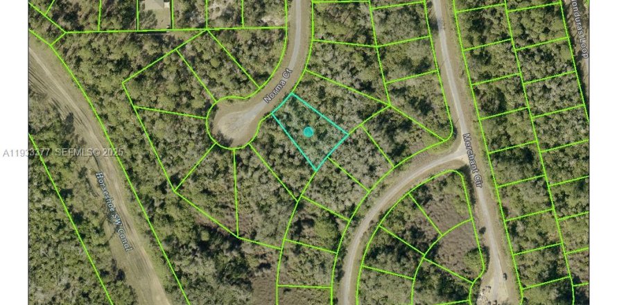 Land in Lehigh Acres, Florida № 2158116