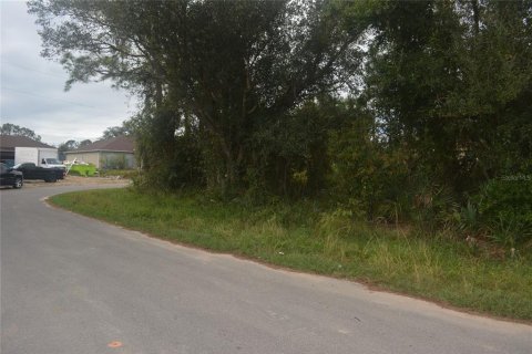 Land in North Port, Florida № 2165036 - photo 11
