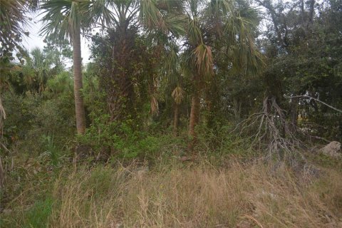 Land in North Port, Florida № 2165036 - photo 23