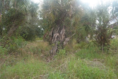 Land in North Port, Florida № 2165036 - photo 17