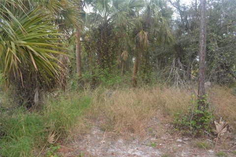 Land in North Port, Florida № 2165036 - photo 20