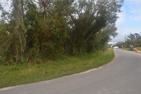 Land in North Port, Florida № 2165036 - photo 7