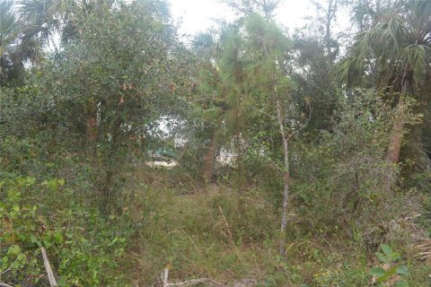Land in North Port, Florida № 2165036 - photo 19
