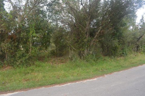 Land in North Port, Florida № 2165036 - photo 8