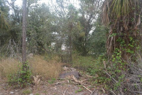 Land in North Port, Florida № 2165036 - photo 21
