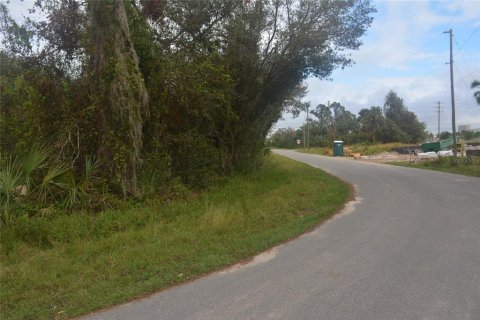 Land in North Port, Florida № 2165036 - photo 13