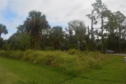 Land in North Port, Florida № 2165036 - photo 15