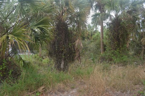 Land in North Port, Florida № 2165036 - photo 22
