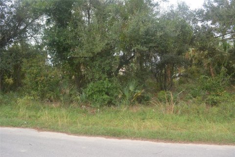 Land in North Port, Florida № 2165036 - photo 10