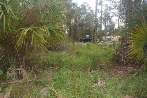 Land in North Port, Florida № 2165036 - photo 16