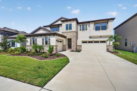 House in Fish Hawk, Florida 5 bedrooms, 392.79 sq.m. № 2309991
