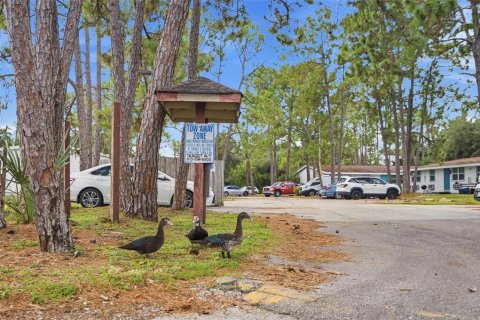 Commercial property in Tampa, Florida 1697.97 sq.m. № 2378157 - photo 12