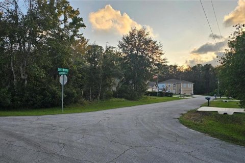 Terreno en venta en Palm Coast, Florida № 1643025 - foto 2