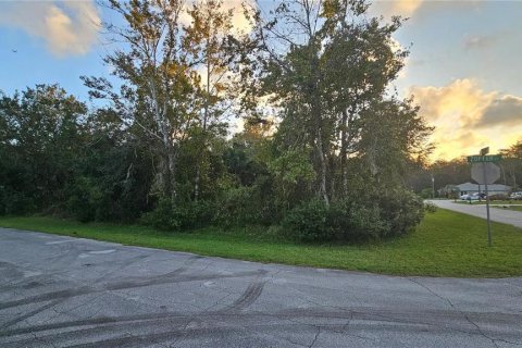 Terreno en venta en Palm Coast, Florida № 1643025 - foto 5