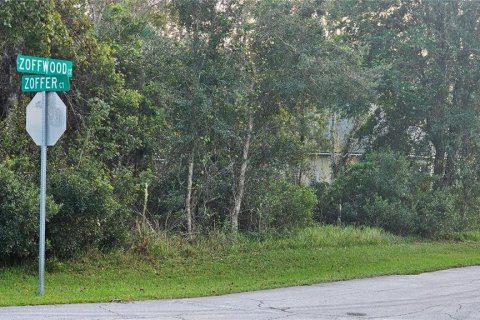 Terreno en venta en Palm Coast, Florida № 1643025 - foto 1