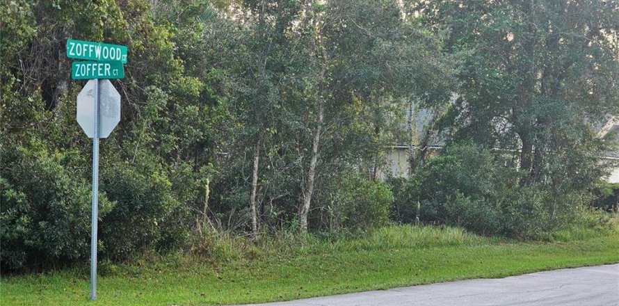 Terreno en Palm Coast, Florida № 1643025