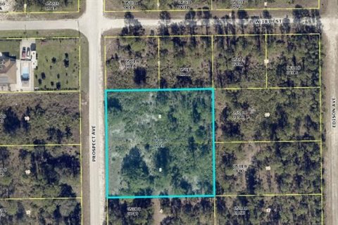 Land in Lehigh Acres, Florida № 1837005 - photo 1