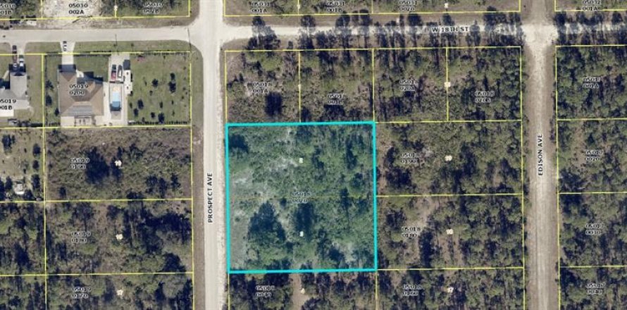 Land in Lehigh Acres, Florida № 1837005