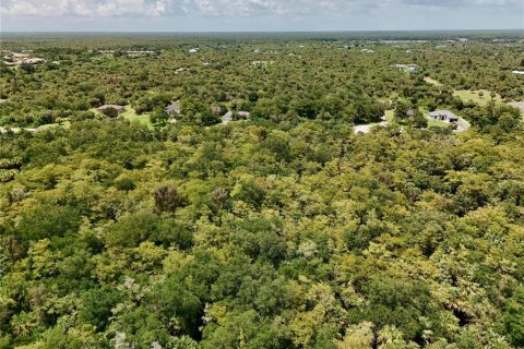 Terrain à vendre à Naples, Floride № 2219385 - photo 25