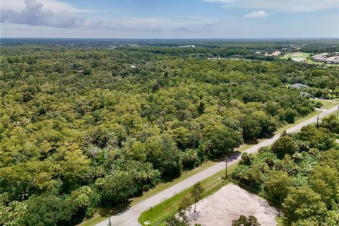 Terrain à vendre à Naples, Floride № 2219385 - photo 30