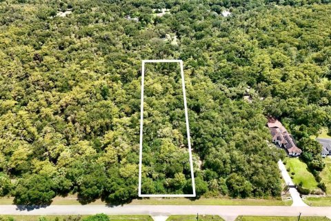 Land in Naples, Florida № 2219385