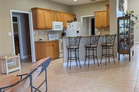 Villa ou maison à vendre à Punta Gorda, Floride: 3 chambres, 194.72 m2 № 2436863 - photo 11