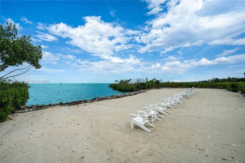 House in Islamorada, Village of Islands, Florida 2 bedrooms, 105.63 sq.m. № 1861365 - photo 25