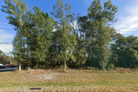 Terreno en venta en Brooksville, Florida № 2102892 - foto 2