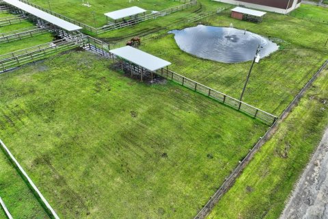 Land in Bunnell, Florida № 2214803 - photo 2