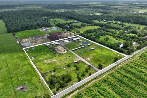 Land in Bunnell, Florida № 2214803 - photo 18