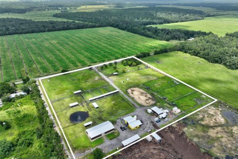 Land in Bunnell, Florida № 2214803 - photo 22