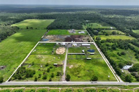Land in Bunnell, Florida № 2214803 - photo 17