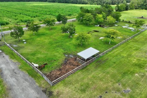 Land in Bunnell, Florida № 2214803 - photo 8