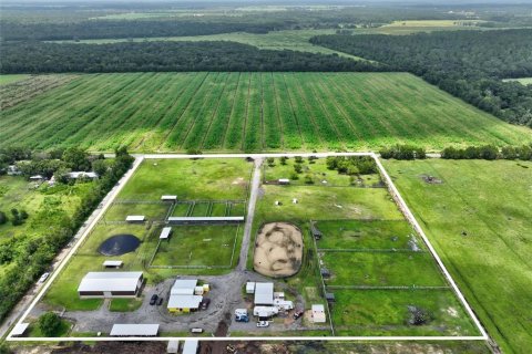 Land in Bunnell, Florida № 2214803 - photo 21