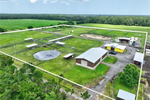 Land in Bunnell, Florida № 2214803 - photo 24
