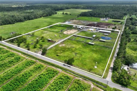 Land in Bunnell, Florida № 2214803 - photo 16