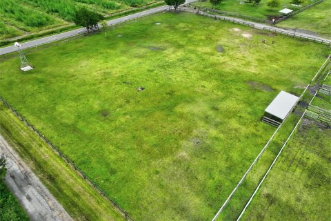 Land in Bunnell, Florida № 2214803 - photo 3