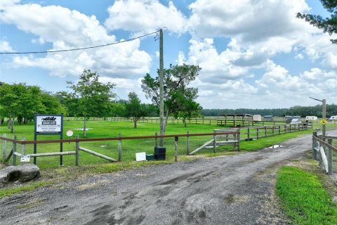 Land in Bunnell, Florida № 2214803 - photo 5