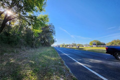 Land in Summerfield, Florida № 1584376 - photo 5