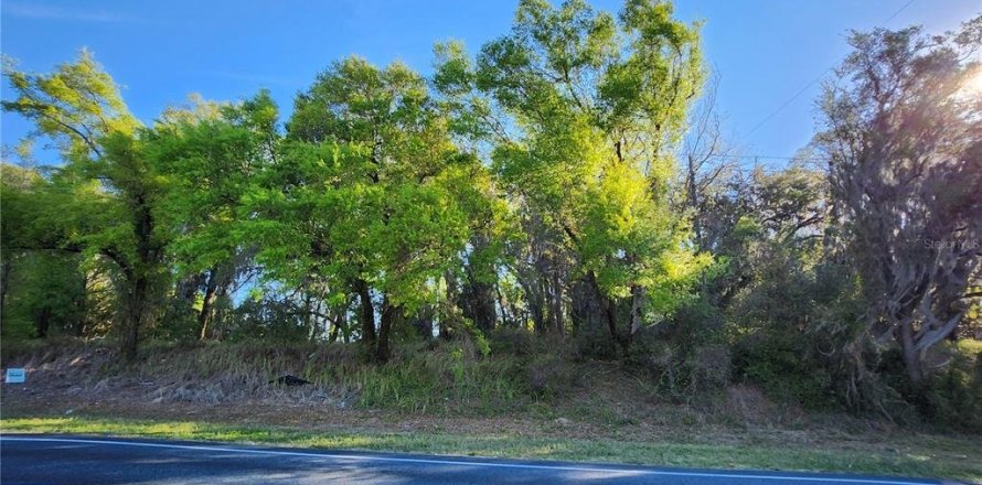 Land in Summerfield, Florida № 1584376