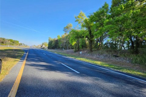 Land in Summerfield, Florida № 1584376 - photo 3