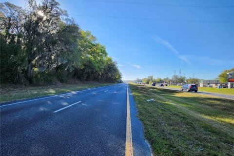 Land in Summerfield, Florida № 1584376 - photo 4