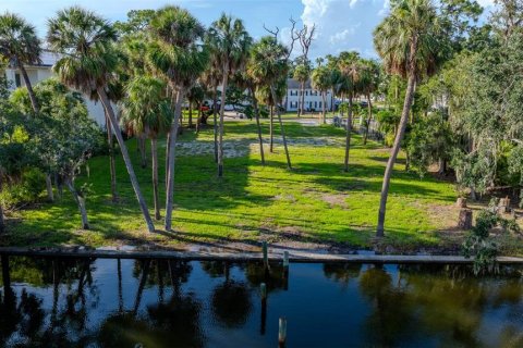 Land in Tampa, Florida № 1837038 - photo 1
